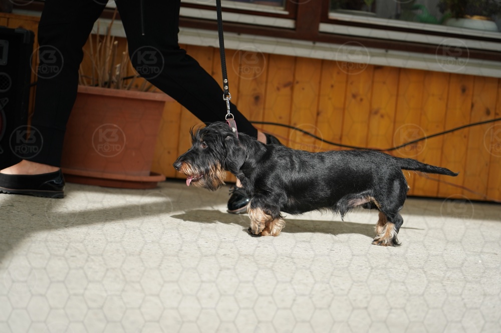 s_A9_00027.jpg